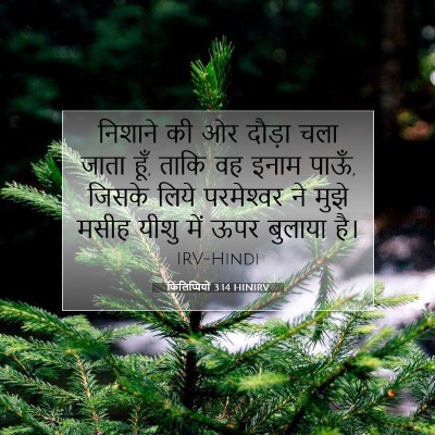 फिलिप्पियों 3:14 HINIRV बाइबल आयत इमेज