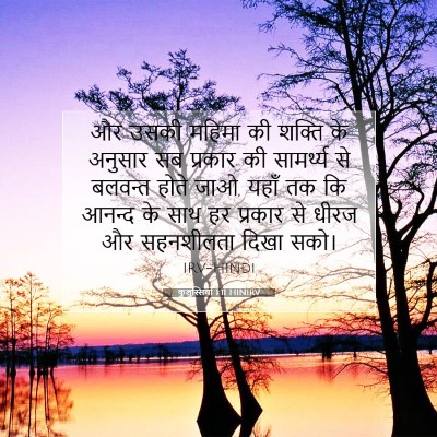 कुलुस्सियों 1:11 HINIRV बाइबल आयत इमेज