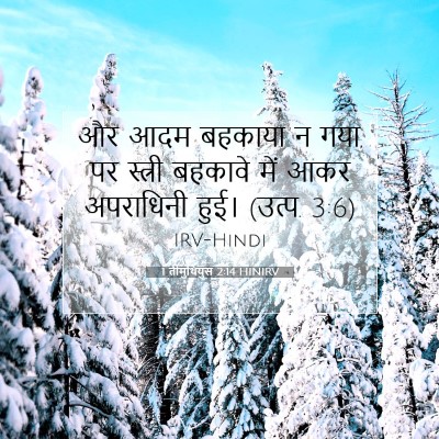 1 तीमुथियुस 2:14 बाइबल आयत की व्याख्या