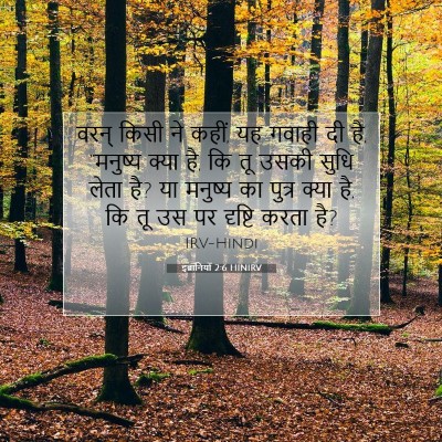 इब्रानियों 2:6 HINIRV बाइबल आयत इमेज
