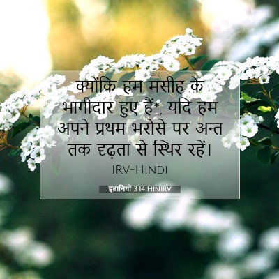 इब्रानियों 3:14 HINIRV बाइबल आयत इमेज