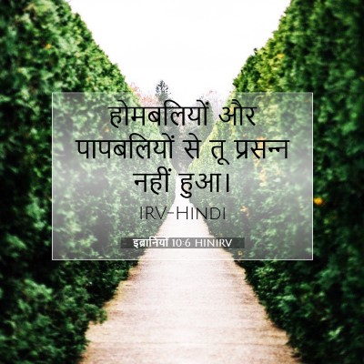 इब्रानियों 10:6 HINIRV बाइबल आयत इमेज