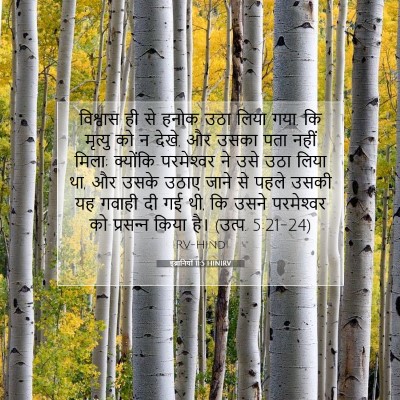 इब्रानियों 11:5 HINIRV बाइबल आयत इमेज