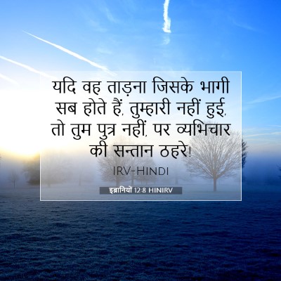 इब्रानियों 12:8 HINIRV बाइबल आयत इमेज