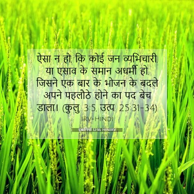 इब्रानियों 12:16 HINIRV बाइबल आयत इमेज