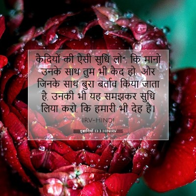 इब्रानियों 13:3 HINIRV बाइबल आयत इमेज