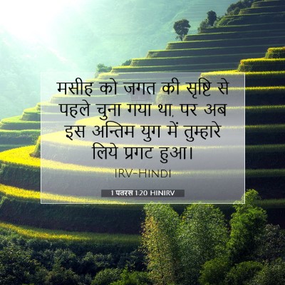 1 पतरस 1:20 बाइबल आयत की व्याख्या