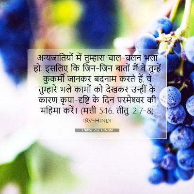 1 पतरस 2:12 HINIRV बाइबल आयत इमेज