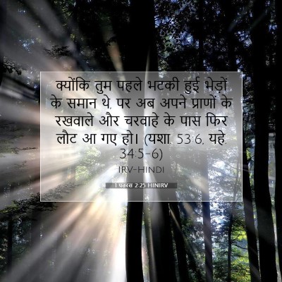 1 पतरस 2:25 HINIRV बाइबल आयत इमेज