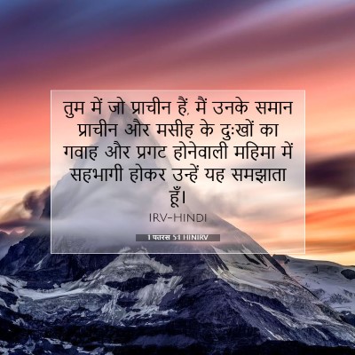 1 पतरस 5:1 HINIRV बाइबल आयत इमेज