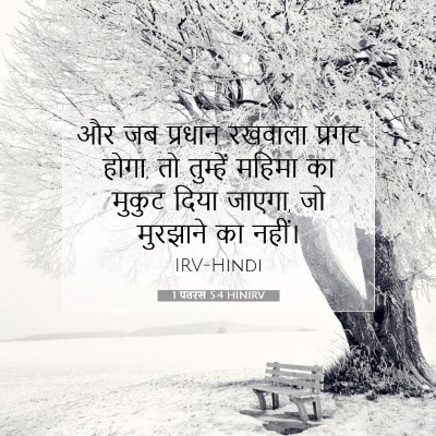 1 पतरस 5:4 HINIRV बाइबल आयत इमेज
